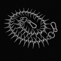 FISHBONE PANTS CHAIN