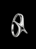 SCULPTED STAR