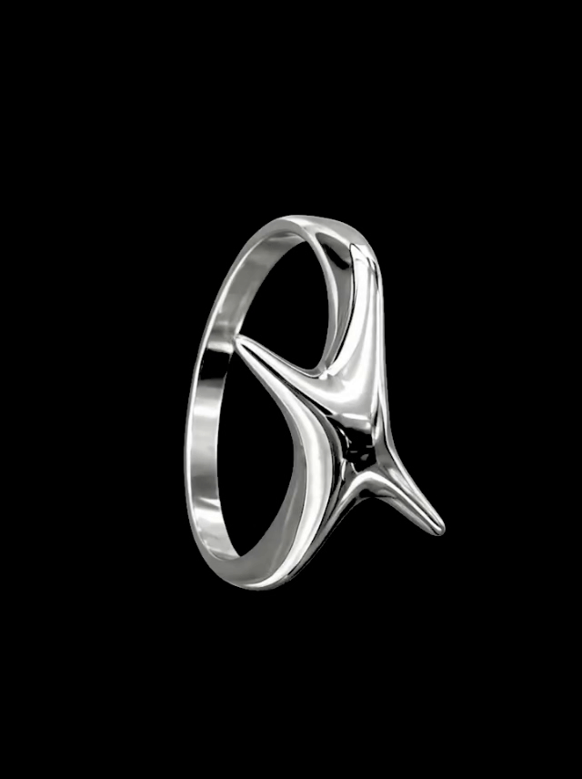 SCULPTED STAR