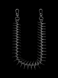 FISHBONE - KravxStudio