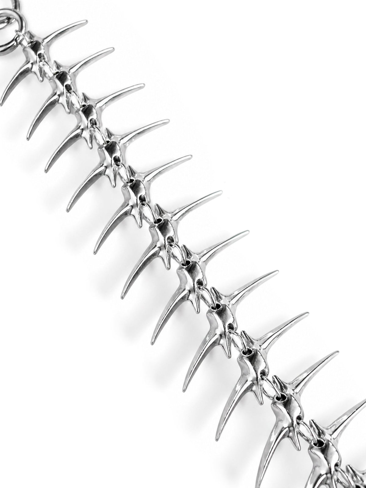 FISHBONE - KravxStudio